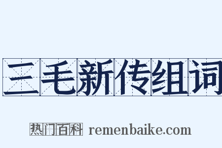 三毛新传组词是什么意思的图片